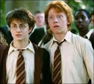 Qui a Kelyan Blanc comme doubleur dans le film en français ?