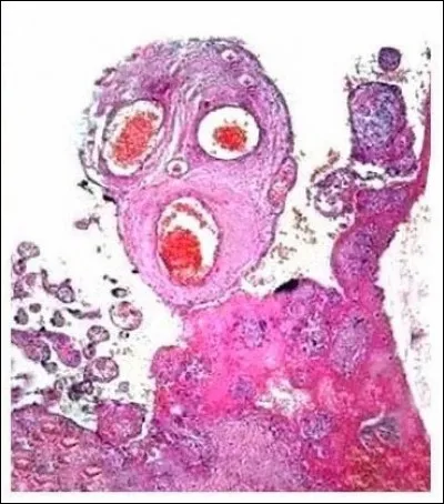 Crier ________________.