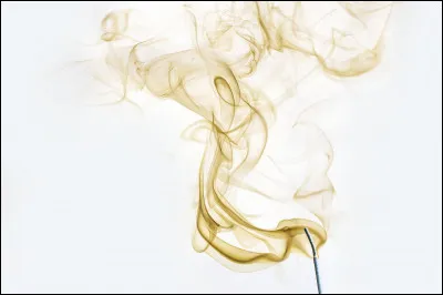 Quelle odeur préfères-tu ?