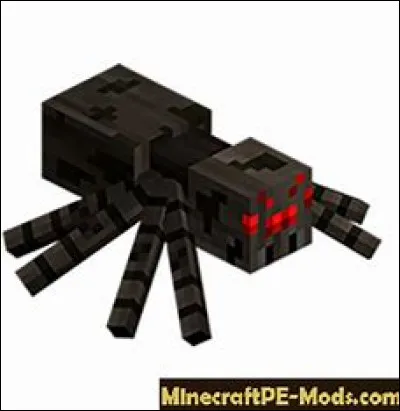 Les araignées ne peuvent pas avoir d'effets...