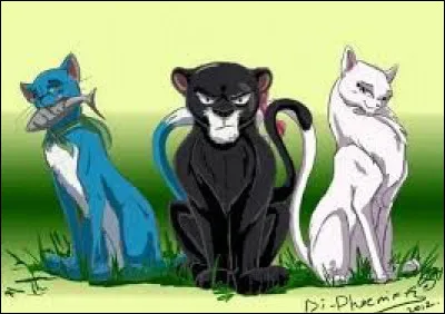 Happy aime quelle exide ?