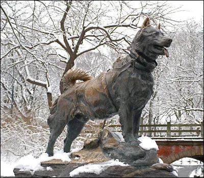 Quel célèbre chien-loup a une statue dans Central Park ?