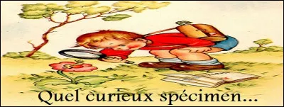 Qui dit curieux, dit aussi : désireux de savoir, apprendre et connaître.