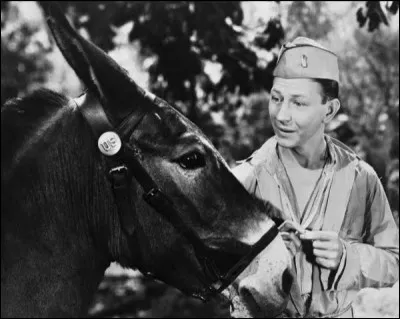 Quel est le premier film dans lequel il appara&icirc;t ?