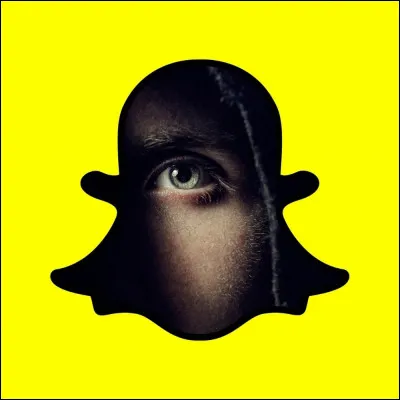 À qui appartient ce logo ?