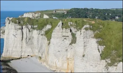 Quelle roche sédimentaire de couleur blanche, poreuse et perméable, est formée presque essentiellement de dépôts d'animaux et de plantes marines ?