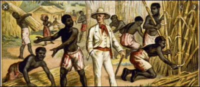 Est-ce que les esclaves meurent lors des travaux ?