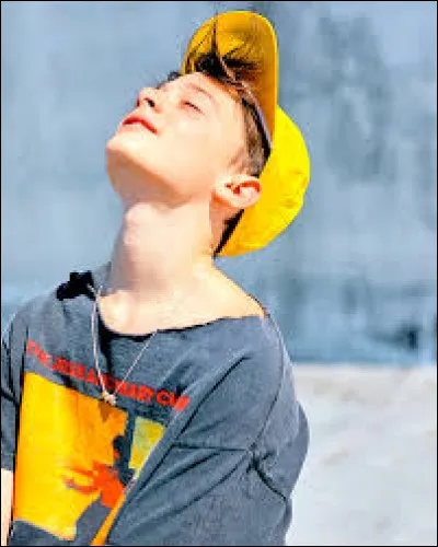 Noah s'est fait conna&icirc;tre gr&acirc;ce &agrave; son r&ocirc;le dans ''Stranger Things'', mais quel personnage joue-t-il dans cette s&eacute;rie ?