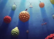 Test Quel fruit du démon serait le mieux pour toi ?