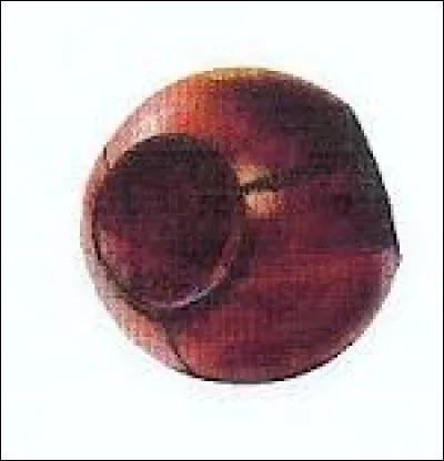 Qui a ensorcelé le Cognard pour que Harry soit blessé ?