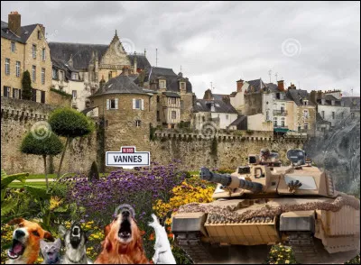 Autour du chien. Cliquez sur l'expression correcte :