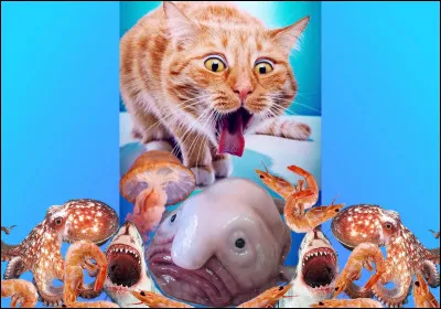 Autour du poisson. Cliquez sur l'expression correcte :