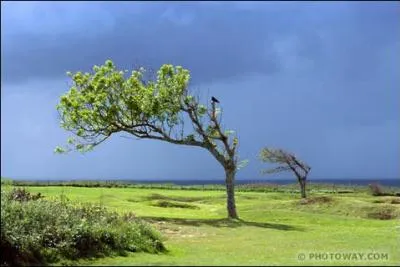 Dans quelle couche d'air peut on respirer ?