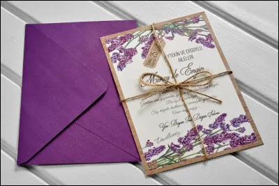 Je ne vous demanderai pas l'auteur des "Lettres de mon moulin" : dommage ! Mais quel était le nom du fameux moulin de Fontvieille qui inspira Daudet ?