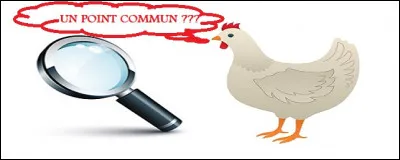 Quel point commun ont l'araignée, le merlan, la hampe et la souris ?