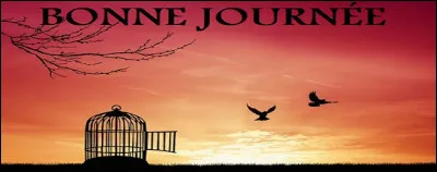 Il est une distinction honorifique correspondant à une fonction, une profession exigeant l'Excellence et cousue sur le revers de la veste. 
Laquelle ?