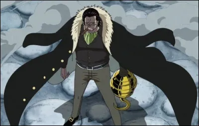 Quand l'équipage de Luffy s'est-il fait connaître de Baroque Works ?