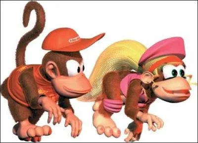 Diddy kong est amoureux de ?