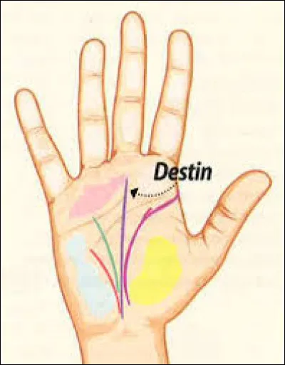 Que est le nom de l'art divinatoire par les lignes de la main ?