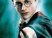 Test Quelle baguette d'Harry Potter te correspond ?