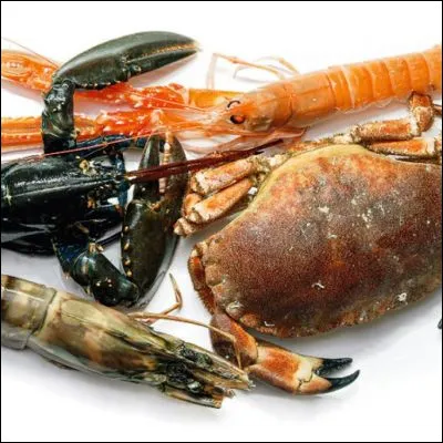 Quels sont les seuls crustac&eacute;s enti&egrave;rement terrestres ?