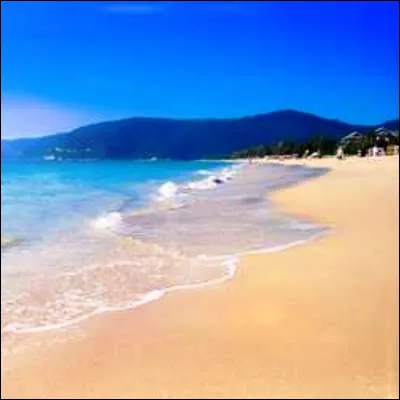 Quelle chanson, qui atteint le sommet du hit-parade en 1989, commence par "Seul sur le sable, les yeux dans l'eau" ?