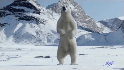 Tes cousines te proposent de choisir l'endroit où vous allez faire une pique-nique ensemble. Où veux-tu aller ?
