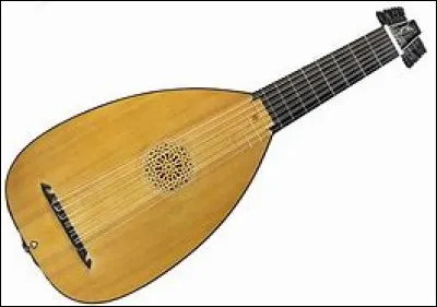 Quel est cet instrument de musique &agrave; cordes pinc&eacute;es ?