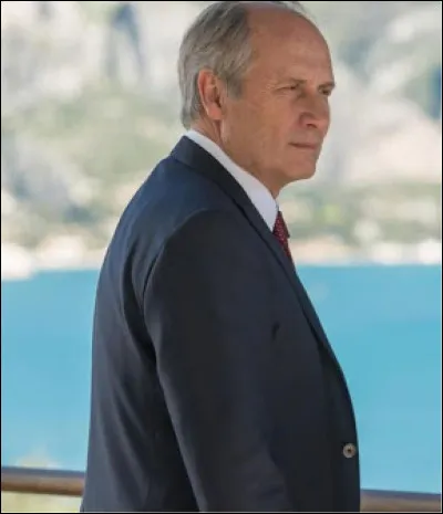 Quel est le personnage joué par Hippolyte Girardot ?