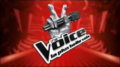 Lequel de ces chanteurs n'a jamais été juré dans l'émission "The Voice" ?