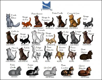 Qui préfères-tu être ?