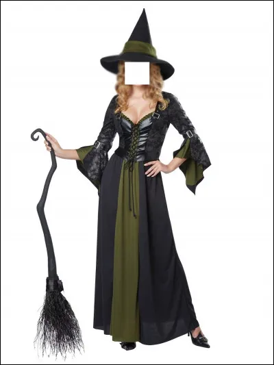 Quel est ce déguisement ?