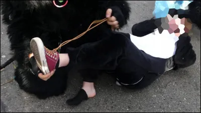 Heureusement que des sorcières et sorciers sont là pour prendre le relais des clowns et s'amusent à faire des blagues au public, comme sur l'illustration. Ce carnaval se déroule en Allemagne, mais pour l'année prochaine (2021-2022), il sera malheureusement annulé. Pour quelle raison ?