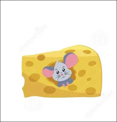 À quoi correspond cette image ?