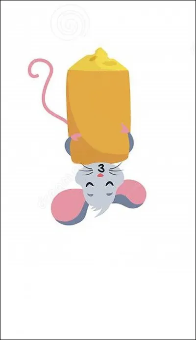 À quoi correspond cette image ?