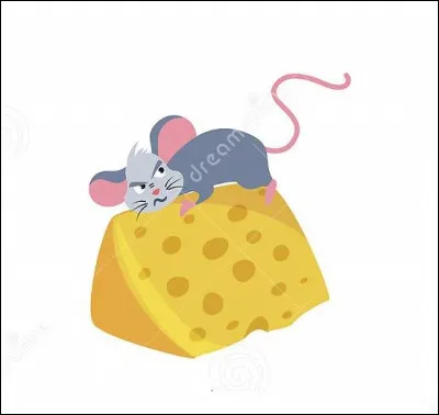 À quoi correspond cette image ?