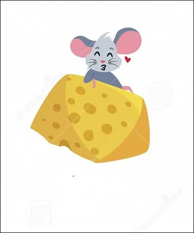 À quoi correspond cette image ?