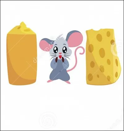 À quoi correspond cette image ?