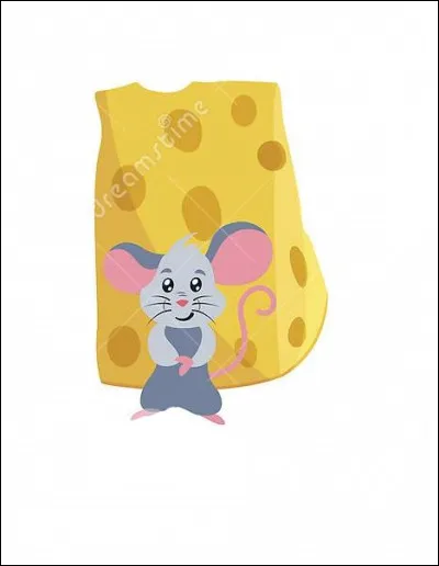 À quoi correspond cette image ?