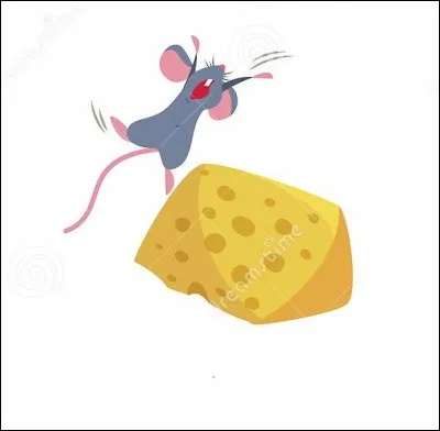 À quoi correspond cette image ?