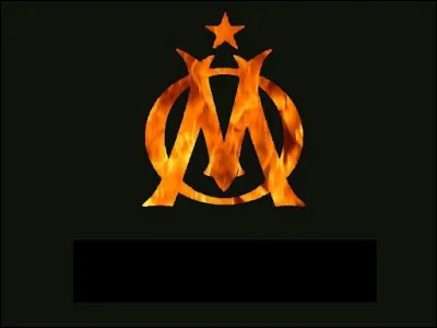 À qui appartient cet écusson ?