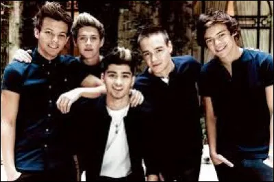 Quel est le premier membre à avoir quitté le groupe ?