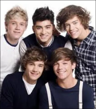 En quelle année le groupe a décidé de faire une pause à durée indéterminée ?