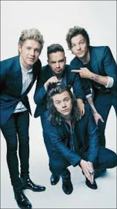 Au départ, ils étaient 5, mais ils se sont retrouvés à 4 dès 2015. Quel est le nom de leur dernier album studio fait à 4 ?