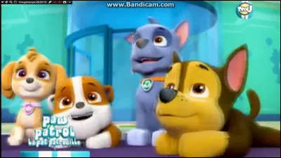 Dans quelle série y a-t-il Marcus, Stella, Rocky, Ruben et Rider ?