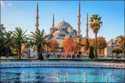 Que se passerait-il en cas de sieste au pied d'un figuier en Turquie ?