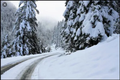 Pourquoi la neige fait-elle "critch" quand on marche dessus ?