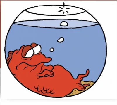 Comment respirent les poissons ?