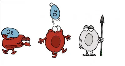 Pourquoi le sang est-il rouge ?