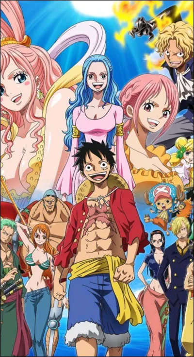 Que porte Luffy sur sa t&ecirc;te ?